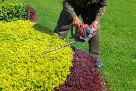 Pruning